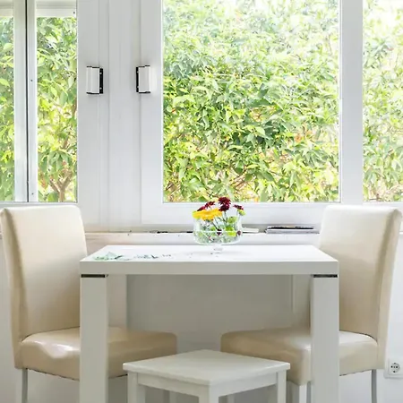 Lemon 두브로브니크